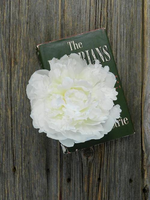 DUCHESSE  WHITE PEONIES